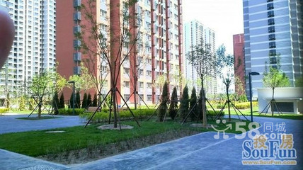 專(zhuān)業(yè)服務(wù)鑄就信賴(lài) 走近北京鑫意偉業(yè)房地產(chǎn)經(jīng)紀(jì)畢春燕的房源店鋪